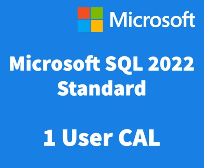 Microsoft SQL Server 2022 - 1 User CAL